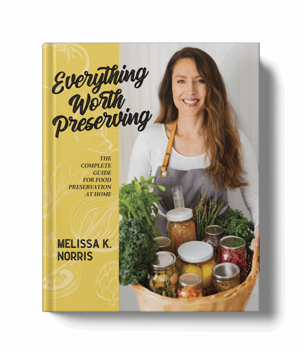 Everything Worth Preserving by Melissa K. Norris