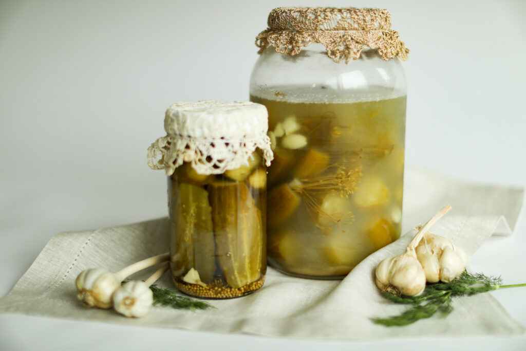 top homesteading books - art of fermentation