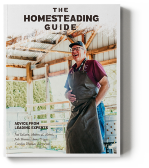 HomesteadingGuide-Cover Mockup