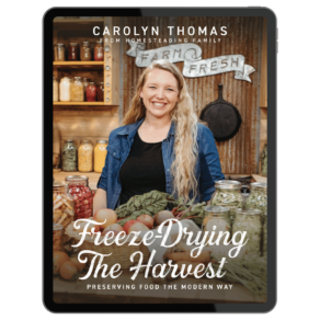 Freeze-Drying the Harvest by Carolyn Thomas (eBook)