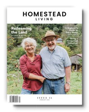 Homestead Living: February 2025