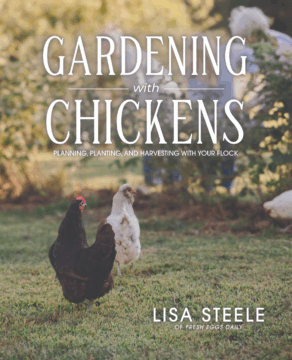 Gardening with Chickens by Lisa Steele (eBook)