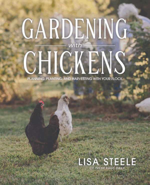 Gardening with Chickens by Lisa Steele (eBook)